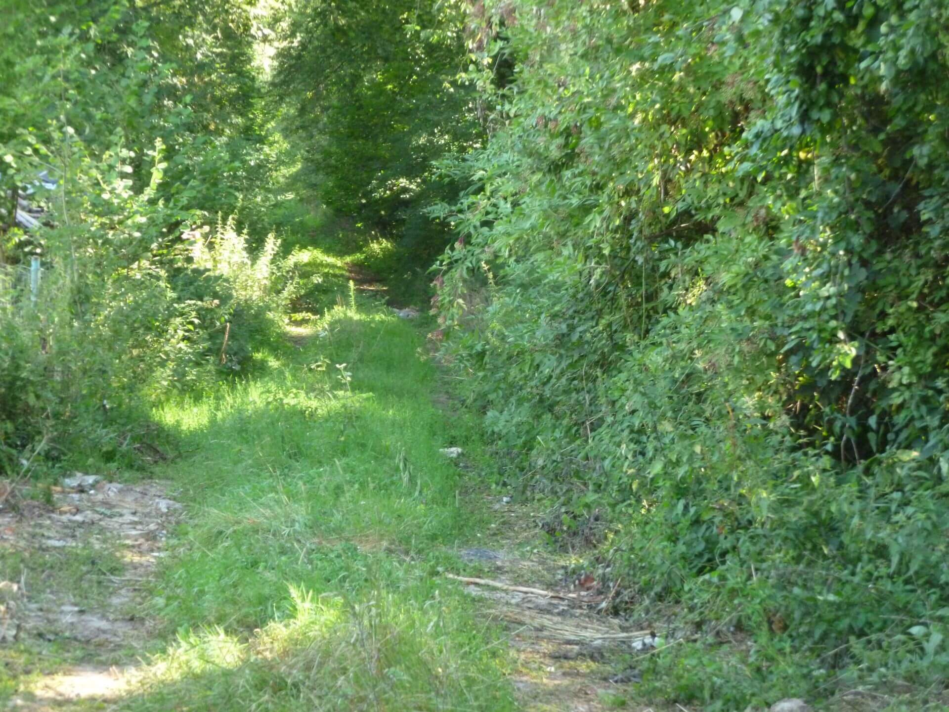 L'ancienne voie ferrée de Ghissignies