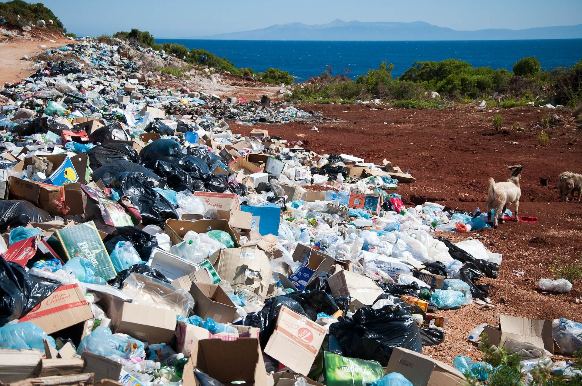 déchets amoncelés